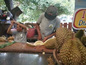 泰国娱乐吃瓜,揭秘明星们的甜蜜与苦涩